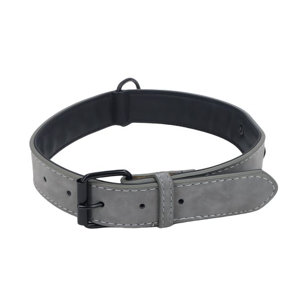 Matte material dog collar