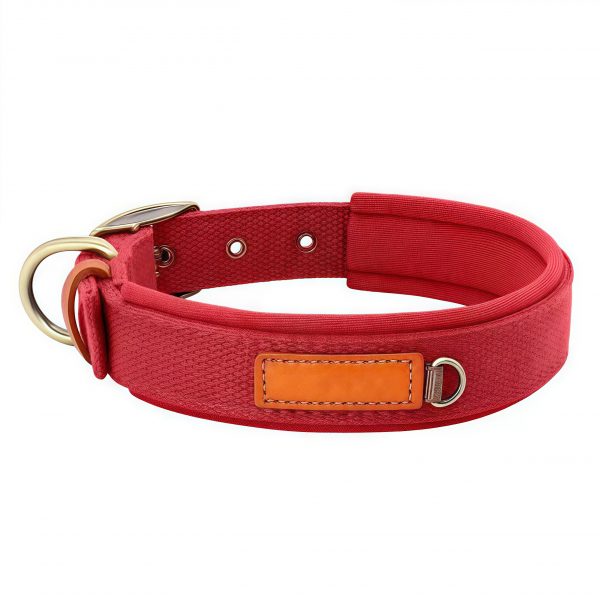 Canvas Dog Collar