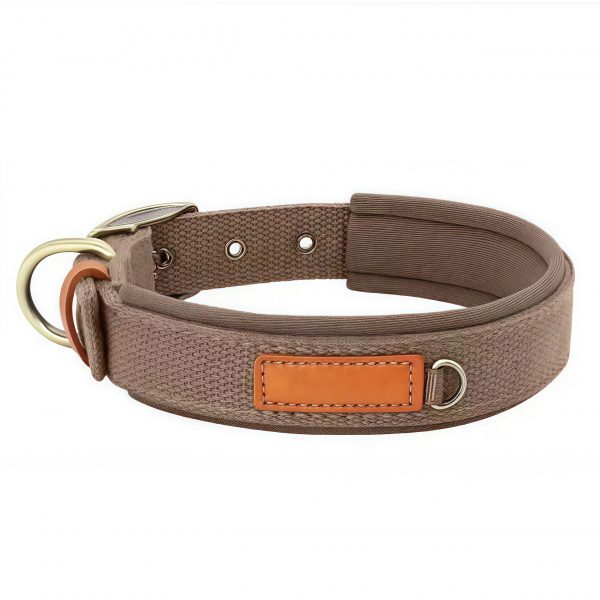 Canvas Dog Collar
