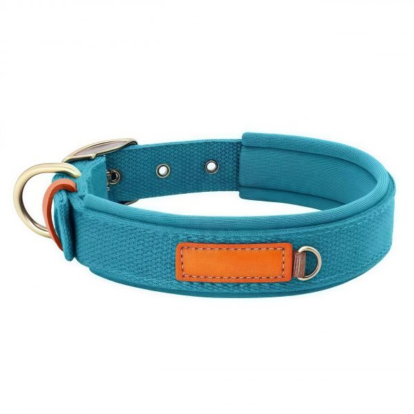 Canvas Dog Collar