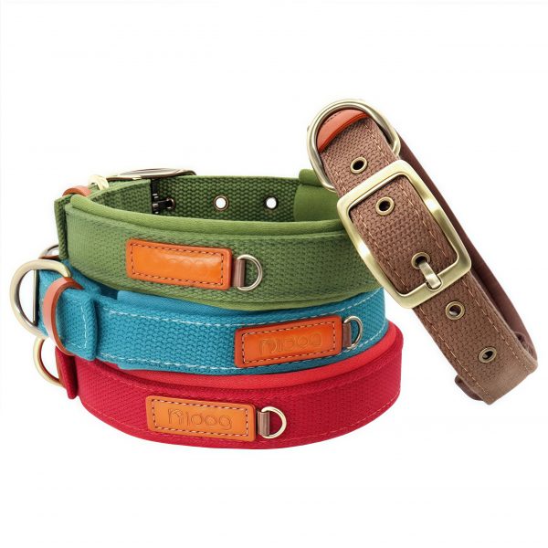 Canvas Dog Collar