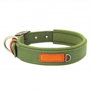 Canvas Dog Collar