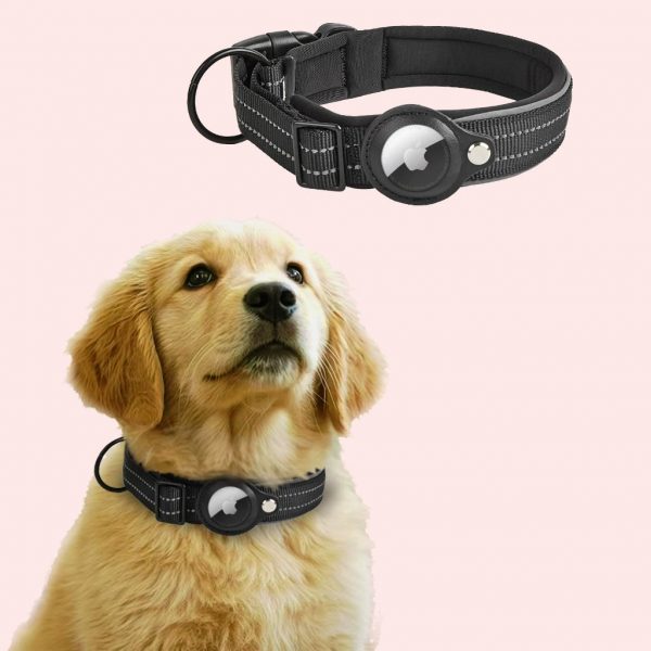 Dog products
