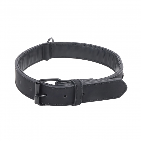 Matte material dog collar