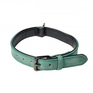 Matte material dog collar