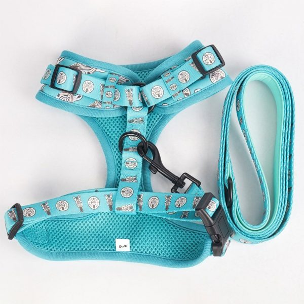 Wholesale Best Custom Harness set