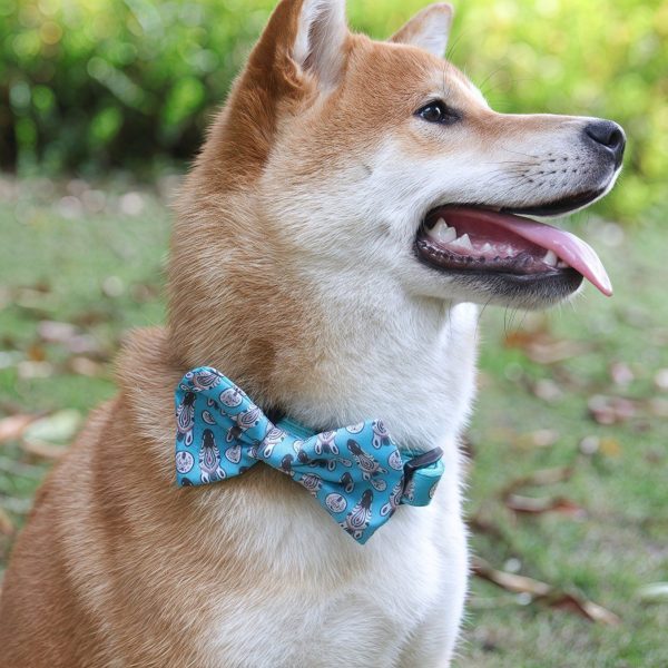 Wholesale Best Custom Harness set