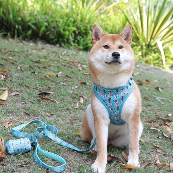 Wholesale Best Custom Harness set