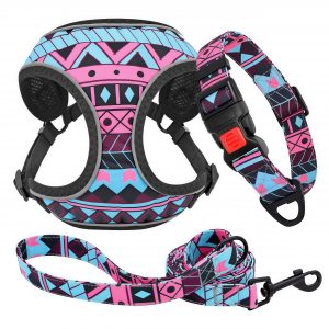 Colorful design pet dog harness
