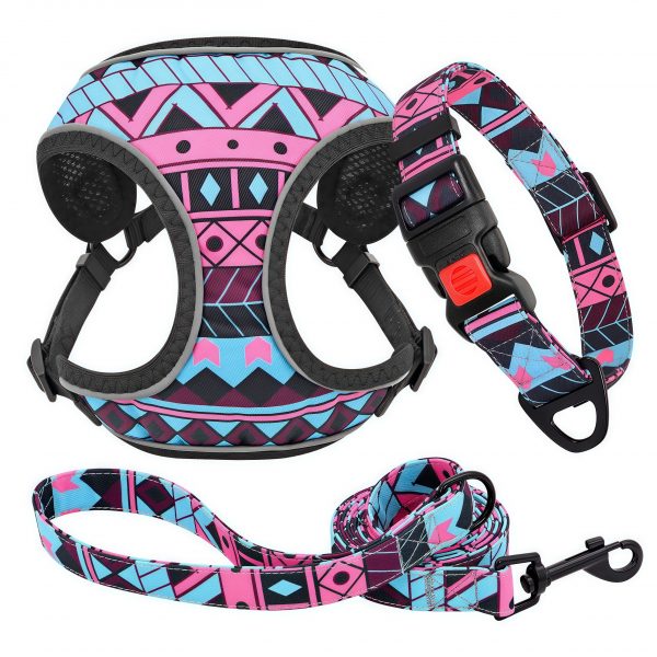 Colorful design pet dog harness