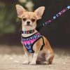 Colorful design pet dog harness