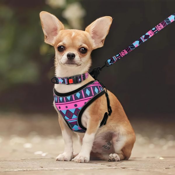 Colorful design pet dog harness